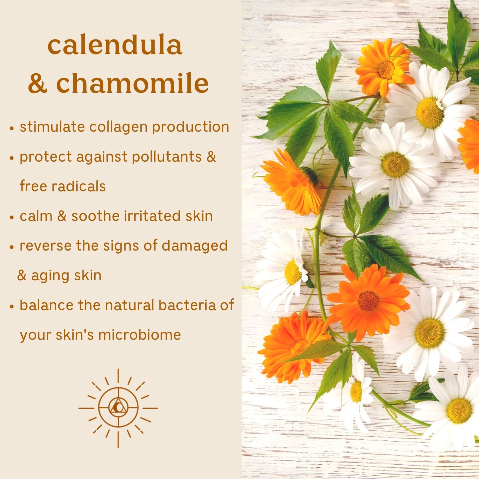 Solluna's Feel Good Cleanser key ingredient benefit description. Calendula & Chamonmile - Stimulate collagen production, Protect against pollutants & free radicals, Calm & soothe irritated skin, Reverse the signs of damaged & aging skin, Balance the natural bacteria of your skin's microbiome
