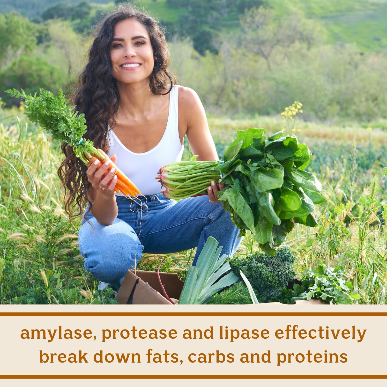 Solluna's Feel Good Digestive Enzymes key ingredient benefit description. Amylase, protease and lipase effectively break down fats, carbs and proteins