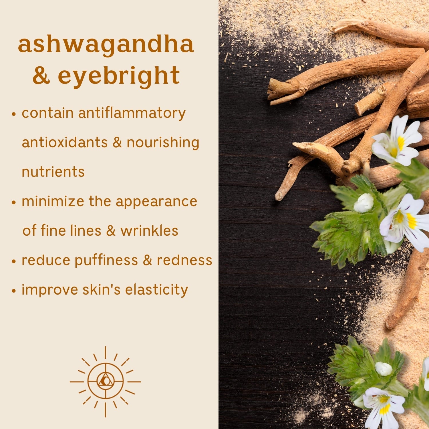Solluna's Feel Good Eye Cream key ingredient benefit description. Ashwagandha & Eyebright: Contain antiflammatory antioxidants & nourishing nutrients, Minimize the appearance of fine lines & wrinkles, Reduce puffiness & redness, Improve skin's elasticity