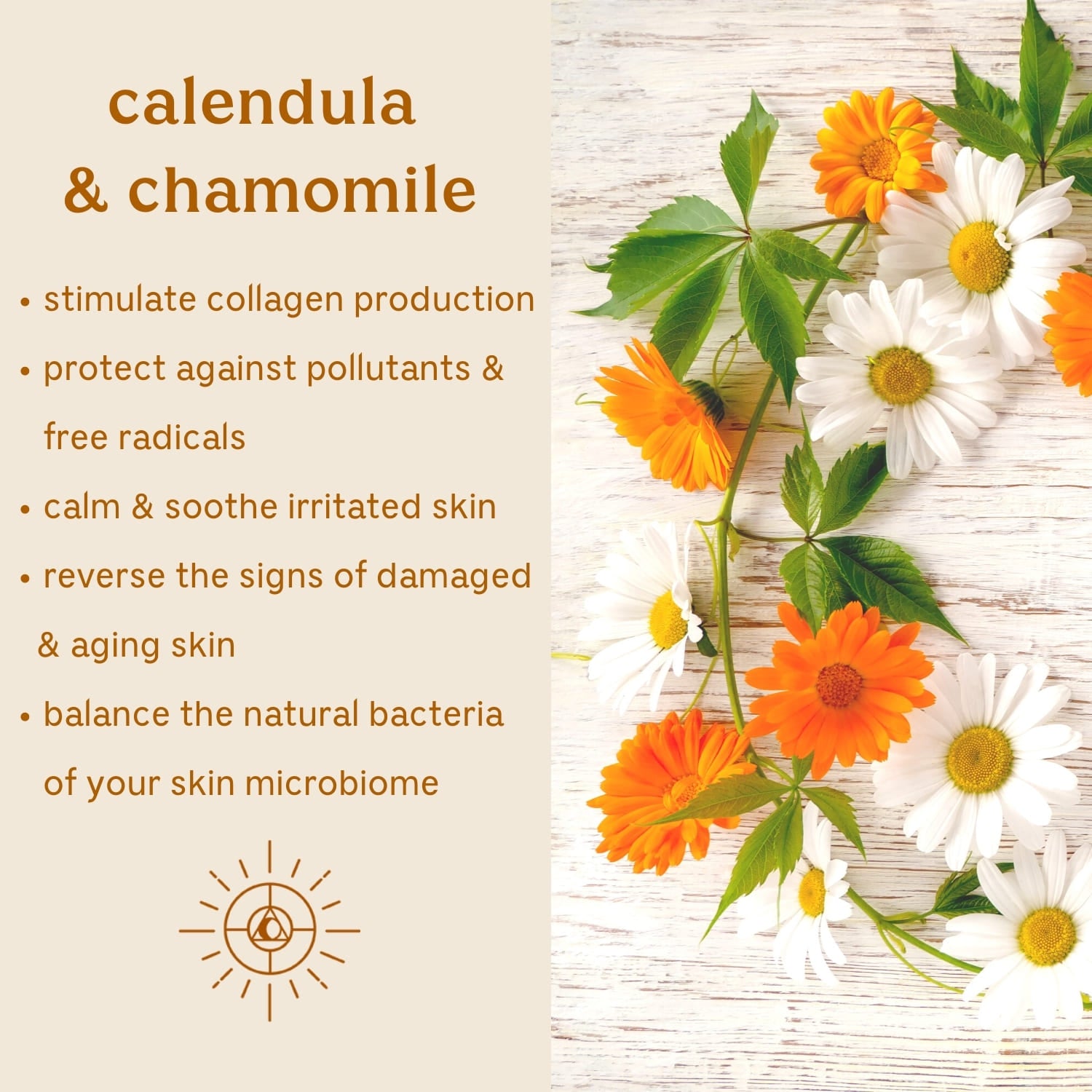 Solluna's Feel Good Eye Cream key ingredient benefit description. Calendula & Chamomile: Stimulate collagen production, Protect against pollutants & free radicals, Calm & soothe irritated skin, Reverse the signs of damaged & aging skin, Balance the natural bacteria of your skin microbiome