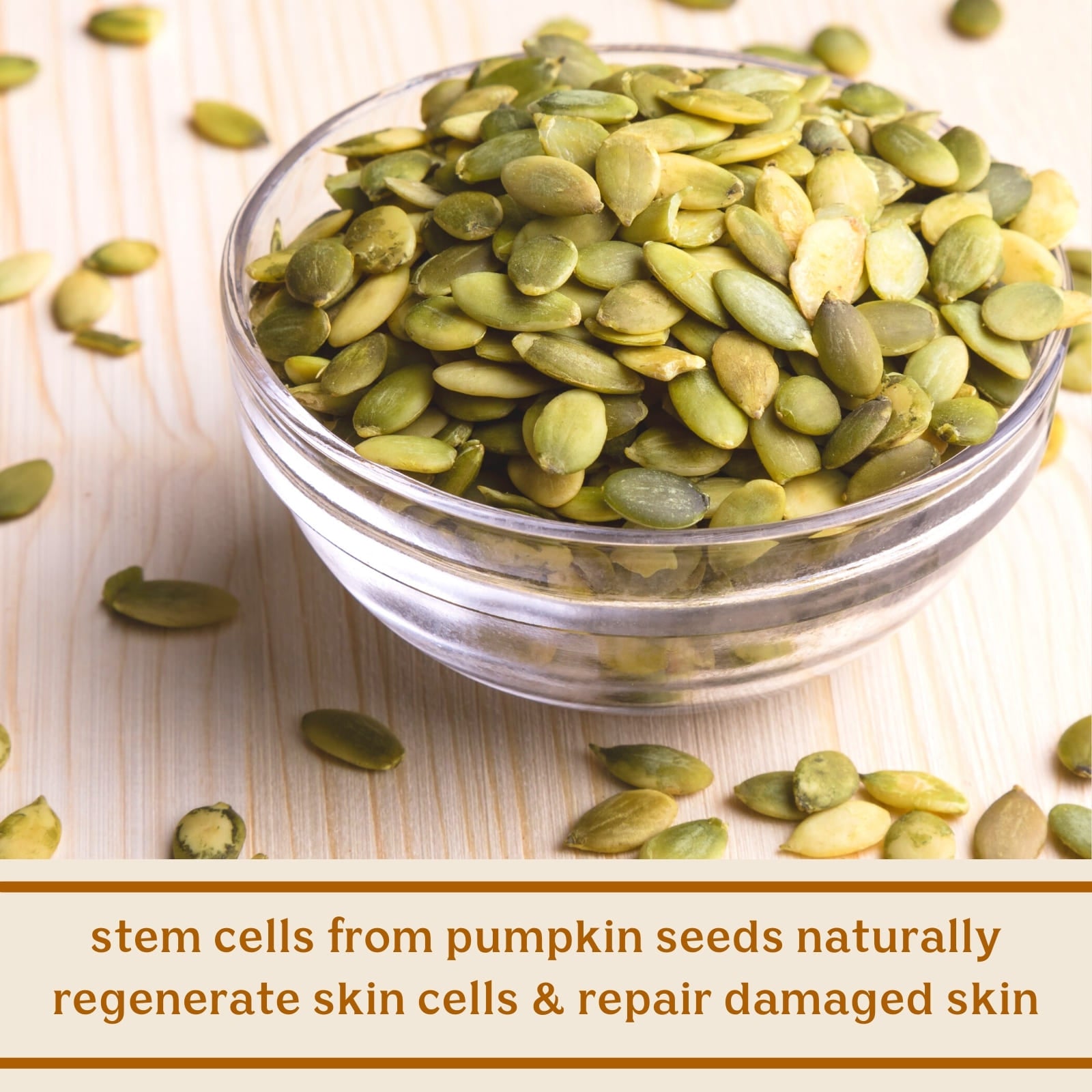 Solluna's Feel Good Moisturizer key ingredient benefit description. Stem cells from pumpkin seeds naturally regenerate skin cells & repair damaged skin