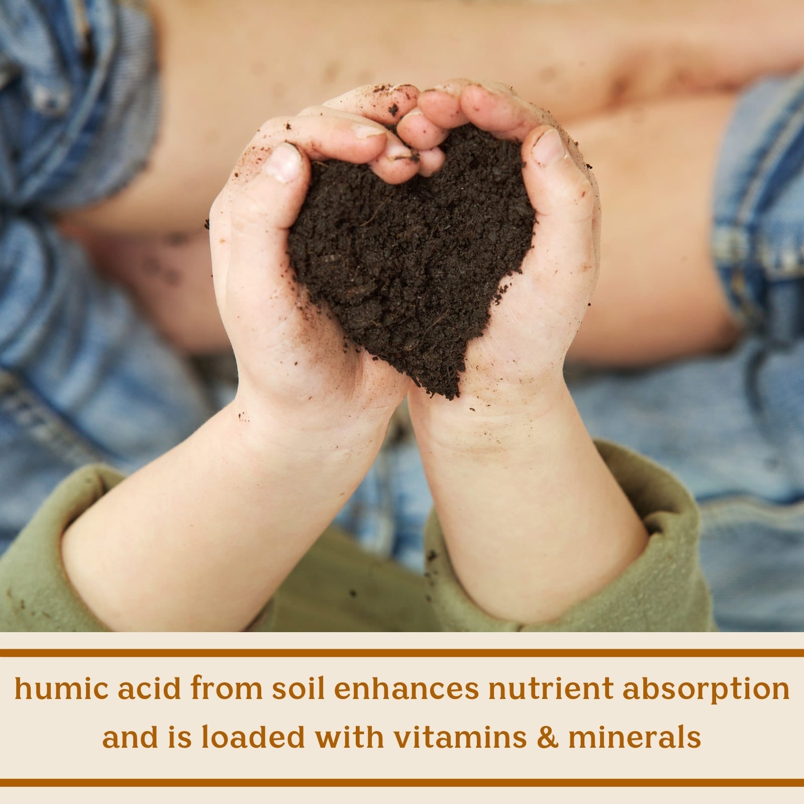 Solluna's Feel Good SBO Probiotics key ingredient benefit description. Humic acid from soil contains vitamins & minerals & enhances nutrient absorption
